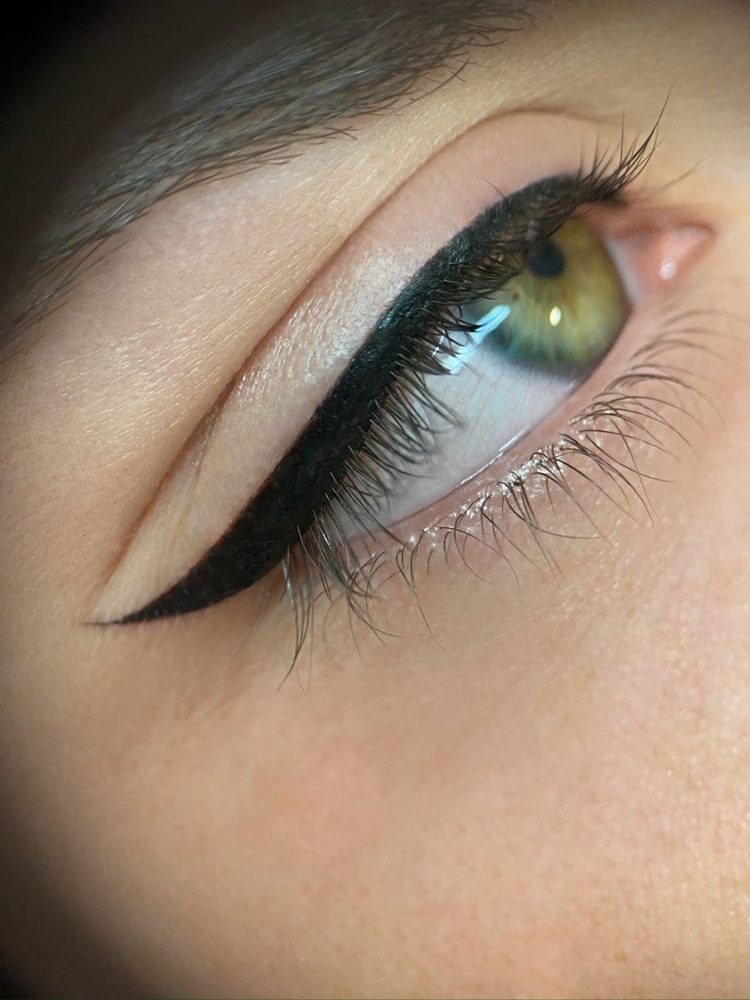 Colección de resultados de micropigmentación de cejas, labios y eyeliner 5
